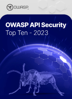 OWASP Top 10 Vulnerabilities